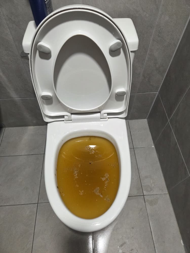 오수가 가득 차올라 내려가지 않는 막힌 변기 실제 현장